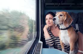 pet-friendly