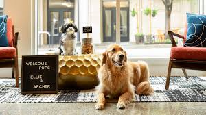 pet-friendly