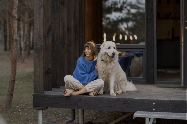 pet-friendly UK holidays